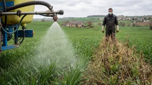 découvrez tout sur l'adblue utilisé comme désherbant : son efficacité, les risques associés et le cadre légal en vigueur en france.